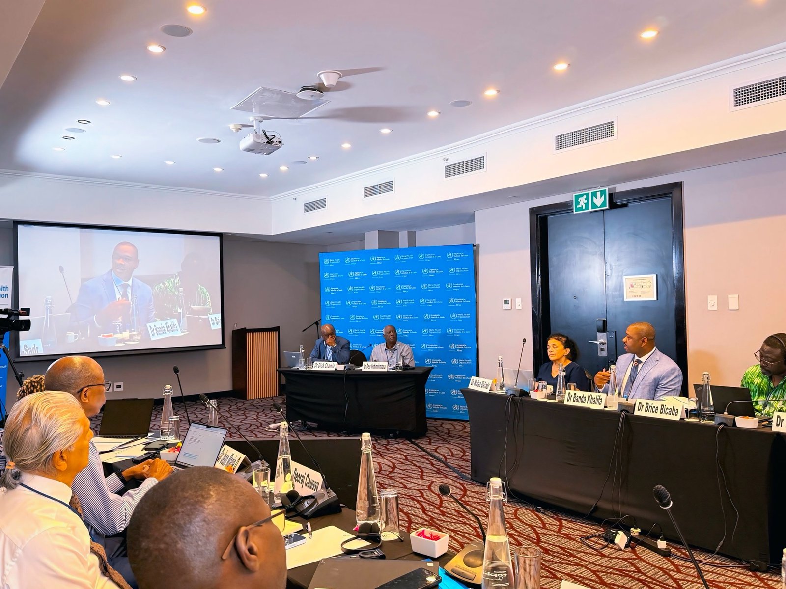 WHO technical advisory meeting